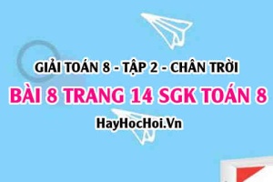 Bài 8 trang 14 Toán 8 Tập 2 Chân trời sáng tạo